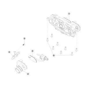 Forward Facing