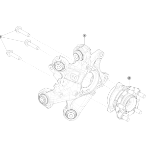 Rear Knuckle - Hub and Bearing