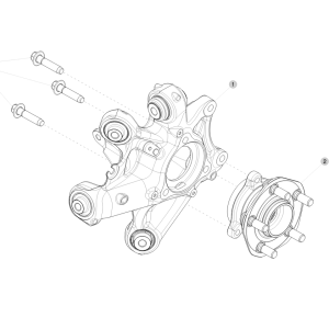 Rear Knuckle - Hub and Bearing