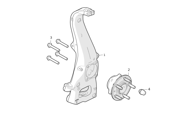 Front Knuckle - Hub and Bearing